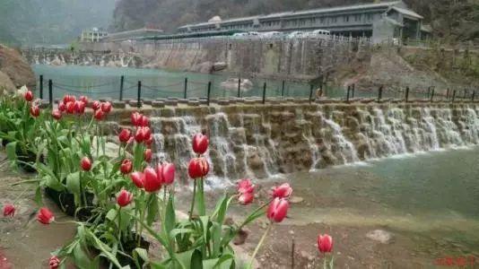第六届三峡柑橘国际交易会开幕 现场签约销售玫瑰香橙10000吨
