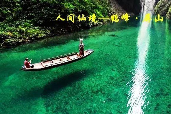 植物神经紊乱是怎么引起的呢游戏画面