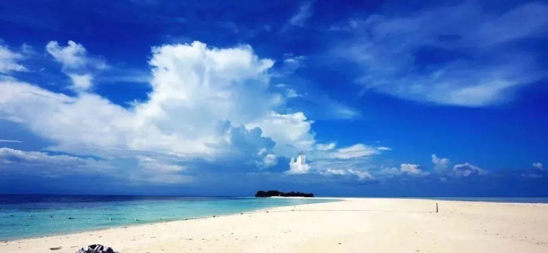 虫虫助手下载