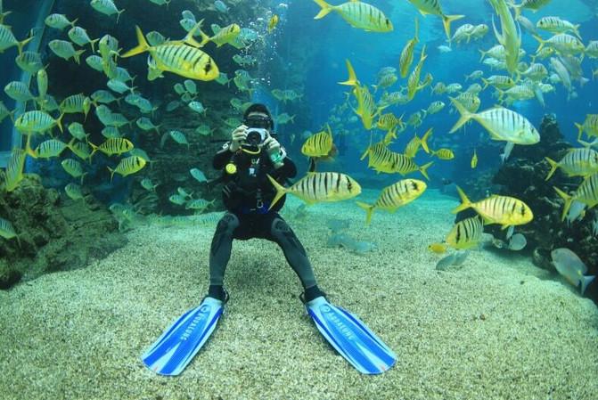 流放骑士