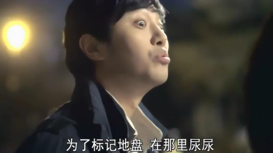 冲浪骑士