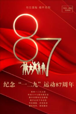 可爱小小警察