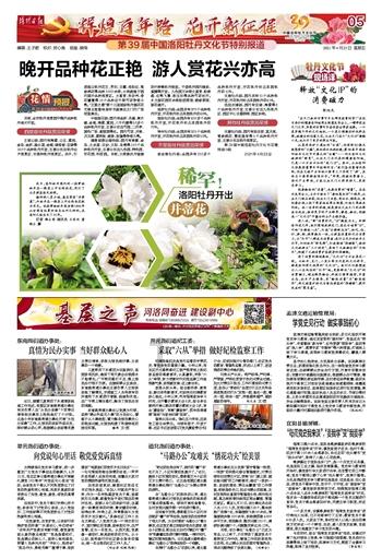 德军总部：新秩序
