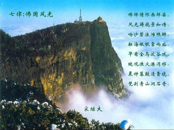 小鸟快跑