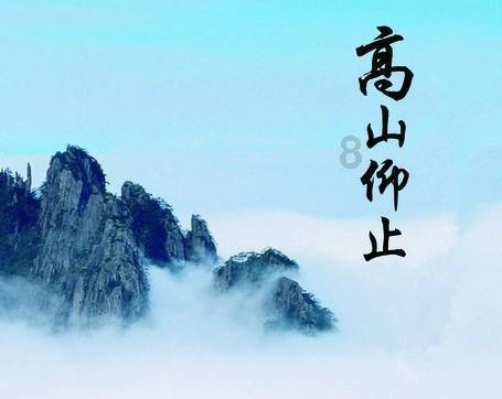 逃离壳牌岛