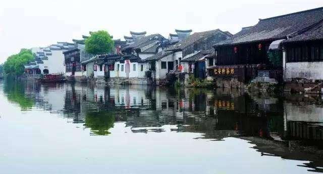 救援菠萝舞者