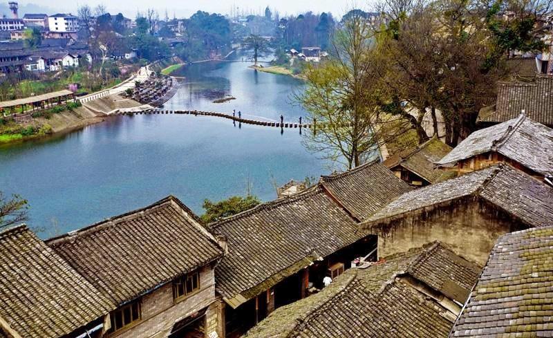 阴暗森林